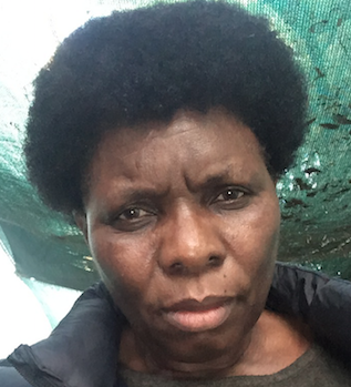 Photo of Maia Chankseliani, PhD